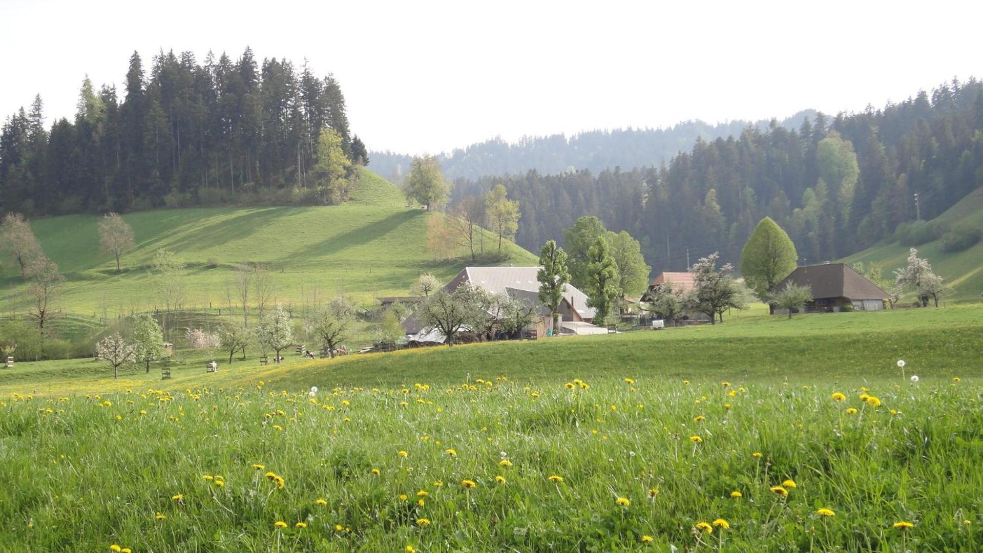 Landgasthof-Hotel Adler Langnau im Emmental Esterno foto